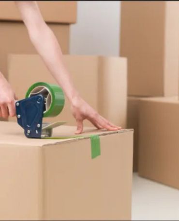 Professional Packing Services